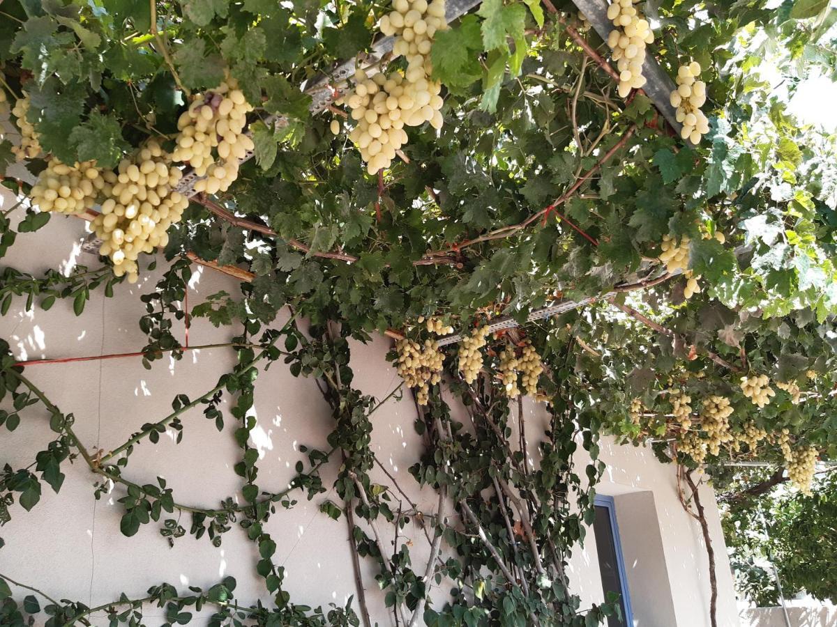 Апартаменты Nikolas Amoudara (Heraklion)